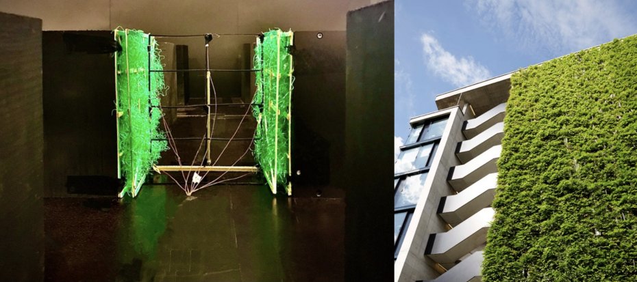 Green wall models in the tunnel test section and a real green facade